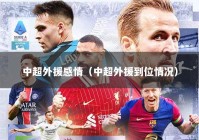 中超外援感情（中超外援到位情况）
