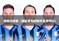 英超进欧联（英超参加欧联杯资格球队）
