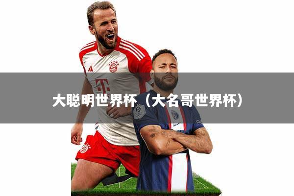 大聪明世界杯(大名哥世界杯)